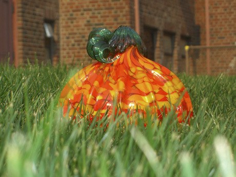 A pumpkin patch fundraiser at local merchants is featuring blown glass pumpkins and jewelry available for purchase.  Proceeds benefit Mercer Island Youth & Family Services. The pumpkins are being sold at: CCMV