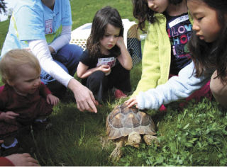 Islanders Leap for Green during Earth Day event