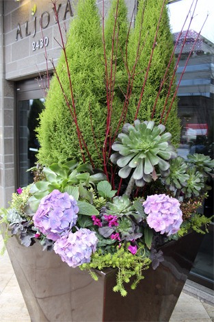 Despite temperatures that dipped below freezing during the past week