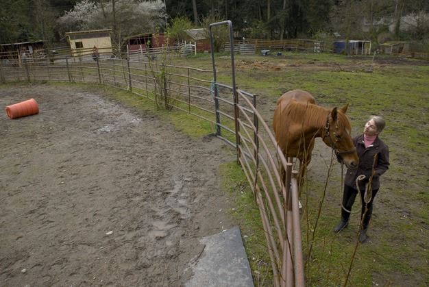Lorna Isenberg and “Rocky