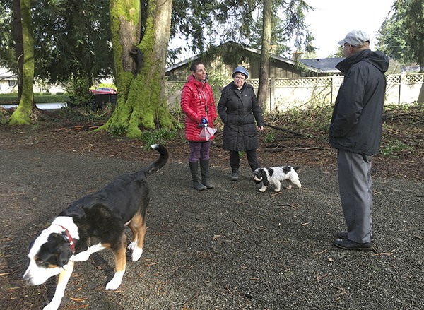 Dog walkers enjoy the area in the northwest quadrant of Pioneer Park on Feb. 29 in which dogs are allowed to be off-leash if under voice control