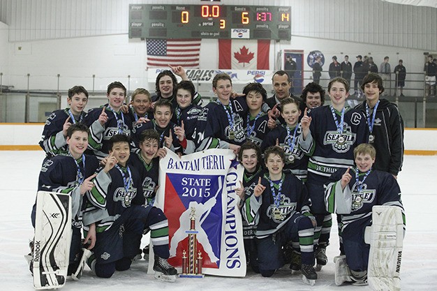 The Sno-King 14U A2 Bantam hockey team