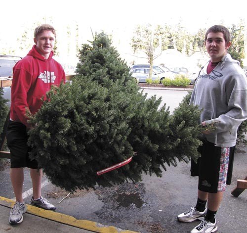 MIHS Lacrosse players Chase York and Matt Shields are two of the players who may be picking up your tree.