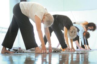 Pack of downward dogs; Web site creates community for Island yoga teachers, students