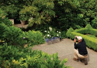 Chad Coleman/Mercer Island Reporter Don Meyer of Medina takes a moment to photograph Sherry Allen’s landscaped backyard garden.