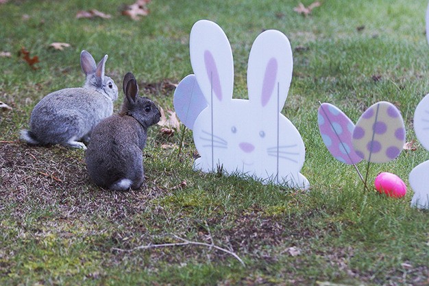 Just in time for Easter