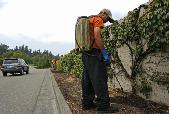 Here a couple of city crew members spray the dye on mulch along S.E. 36th Street across from City Hall on Monday