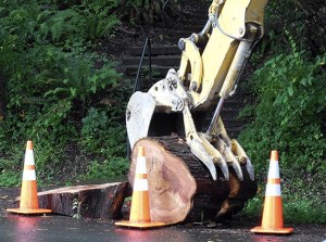 A backhoe moves log pieces which were dumped in the Mercerdale neighborhood on Monday