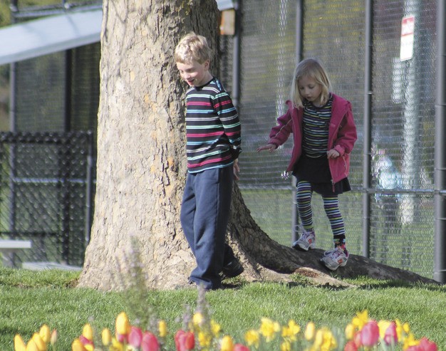 Children play in the sunshine at the South Mercer Playfields on Thursday