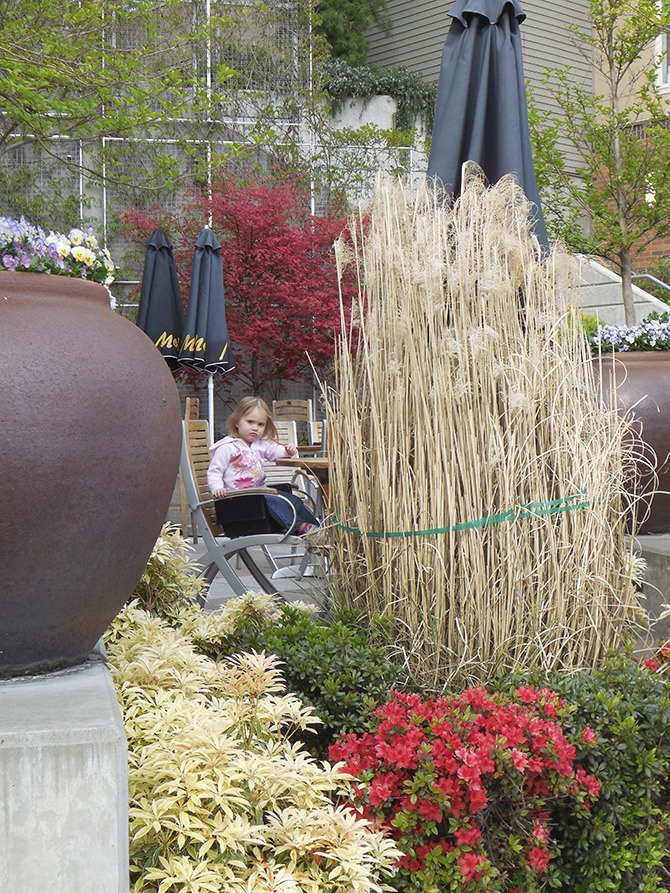 A little girl watches the people walk by from the garden patio outside Mo’s Pizza.