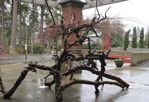 This sculptural Ikebana piece