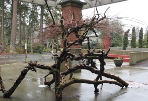 This sculptural Ikebana piece