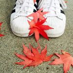 Reporter announces fall poetry contest winners