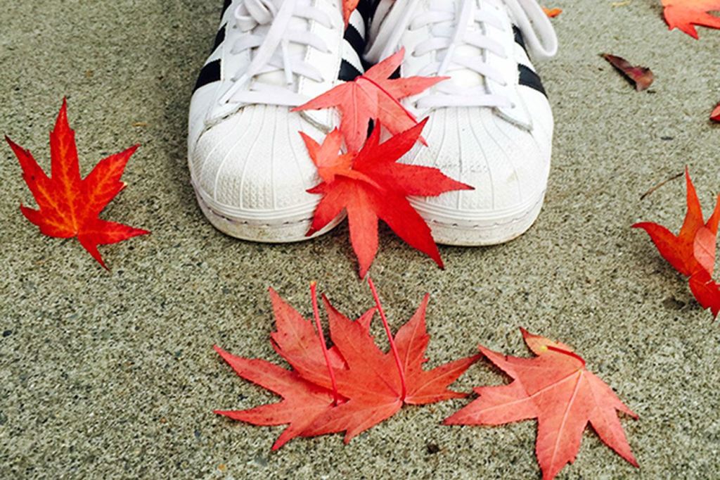 Reporter announces fall poetry contest winners