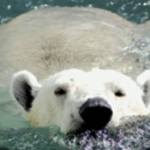 Washington backyards bursting with climate change | My Turn