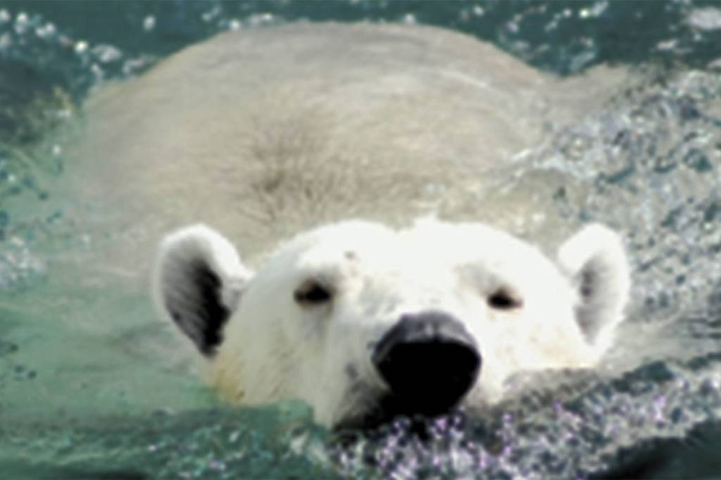 Washington backyards bursting with climate change | My Turn