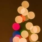 Thank you to all who made Mercer Island Lions’ Christmas tree sale a success | Letter
