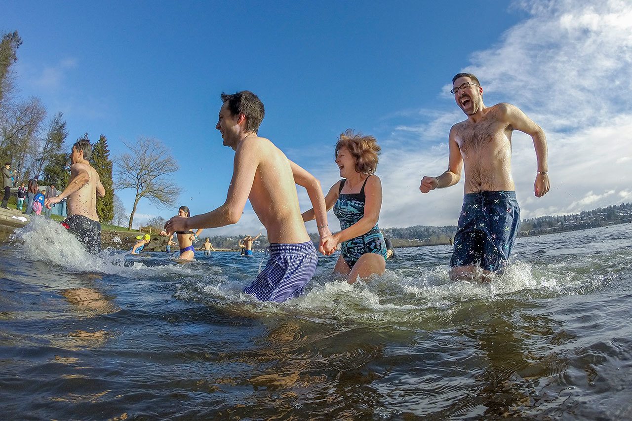 Polar Bear Plungers race back to shore to escape the frigid waters of Lake Washington at Clarke Beach on New Year&rsquo;s Day. Matt Brashears/Special to the Reporter