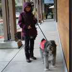 Eye on MI | Dog days of winter