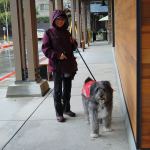 Islander Michele Vignieri walks her dog, Ziggy, by the Mercer Island New Seasons. Katie Metzger/staff photo