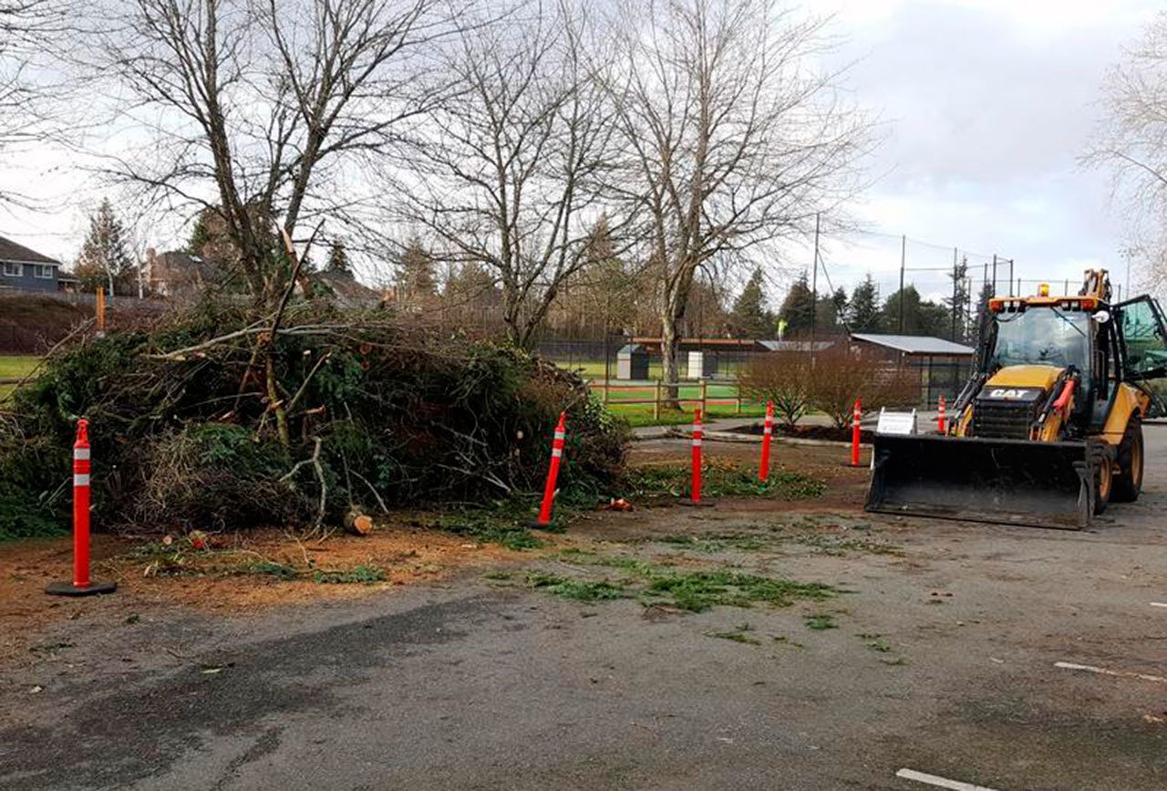 Homestead Park and South Mercer Playfield, the temporary drop off locations for yard debris and tree limbs, will be active through at least this weekend to help residents clean their yards after last week&rsquo;s snow storm. Photo courtesy of the city of Mercer Island