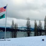 A snowy day in Luther Burbank Park. Photo courtesy of Sandy Yin/Chewbebe Fresh Dog Treats