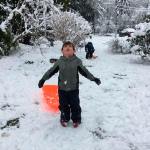 Kids sled on their day off from school. Photo courtesy of Jenna Paglia