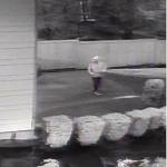 A suspect is spotted in a Feb. 19 mail thief surveillance video. Photo courtesy of MIPD