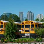 More taxes needed for schools, but that’s where agreement ends | The Petri Dish