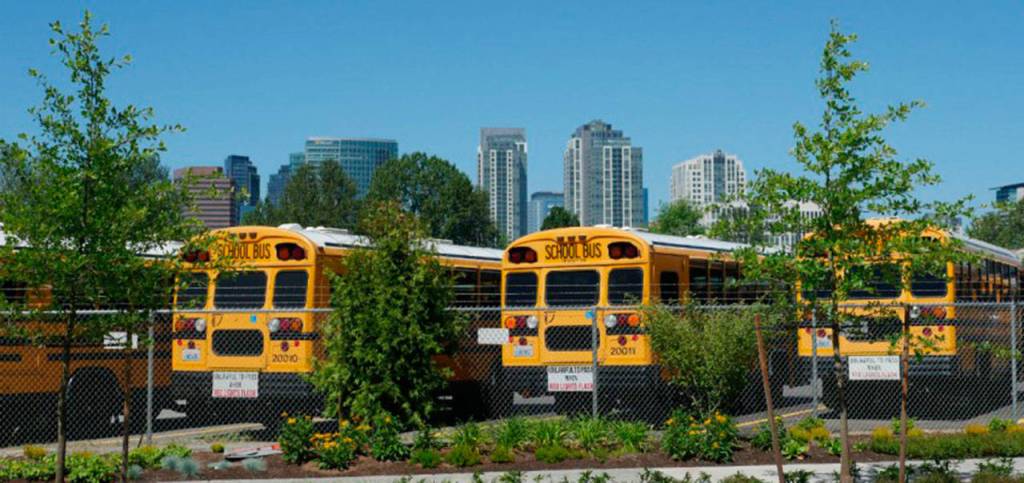 More taxes needed for schools, but that’s where agreement ends | The Petri Dish