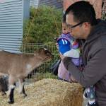 Mercer Island families learn about sustainability at Leap for Green fair
