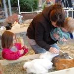 Families enjoy the petting zoo at the Leap for Green event. Katie Metzger/staff photo