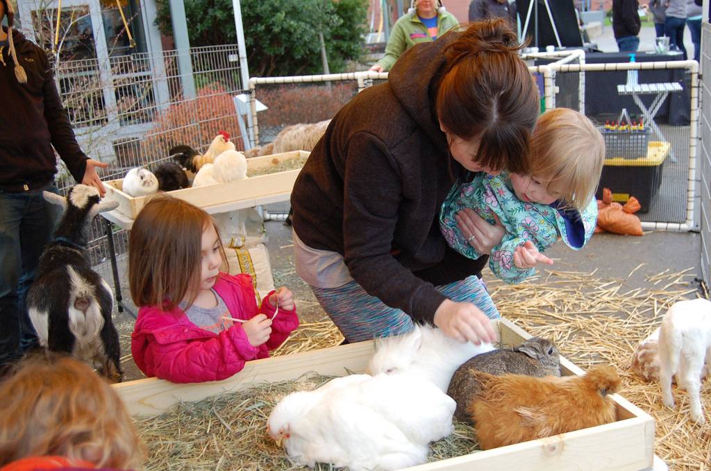 Families enjoy the petting zoo at the Leap for Green event. Katie Metzger/staff photo