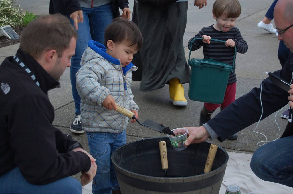 Island families play with organic composted soil, provided by Cedar Grove. Katie Metzger/staff photo