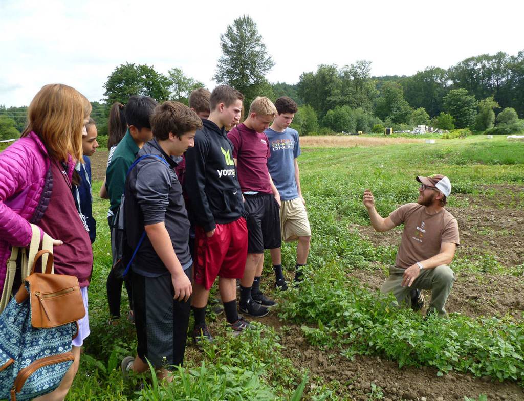 Registration for city-run summer volunteer programs closes Friday. Photo courtesy of Tambi Cork