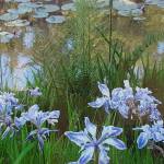 Irises and water lillies at the Seattle Japanese Garden. Photo courtesy of Omar Chapa
