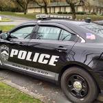 Seven car prowls reported in one day in Mercer Island | Police Blotter