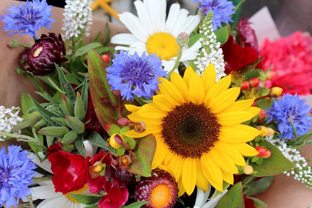 Mercer Island Farmers Market opens June 4 for 10th season, with new manager