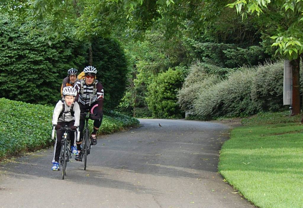 Cyclists participate in Bike Everywhere Day in May 2016. Katie Metzger/file photo