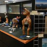 MIVAL Jr. to host 43rd annual Summer Celebration show