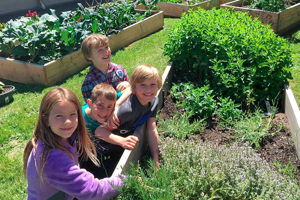 Lakeridge garden club harvests community