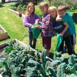 The Lakeridge garden has 17 beds and many varieties of plants. Photo courtesy of Nancy Weil