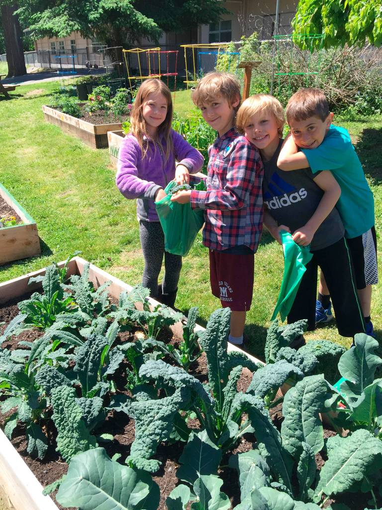 The Lakeridge garden has 17 beds and many varieties of plants. Photo courtesy of Nancy Weil