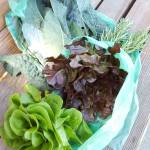 The first donation of produce from the Lakeridge student Garden Club to the MIYFS food pantry. Photo courtesy of MIYFS Foundation