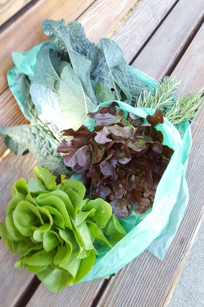 The first donation of produce from the Lakeridge student Garden Club to the MIYFS food pantry. Photo courtesy of MIYFS Foundation