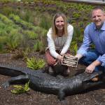 Islander Middle School PTSA dedicates gator sculpture to co-principals