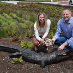 IMS PTSA recently dedicated this gator to the IMS co-principals. Photo courtesy of Craig Degginger/Mercer Island School District