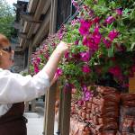 Summer in bloom | Eye on MI