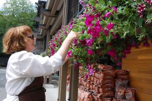 Summer in bloom | Eye on MI