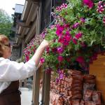 Summer in bloom | Eye on MI